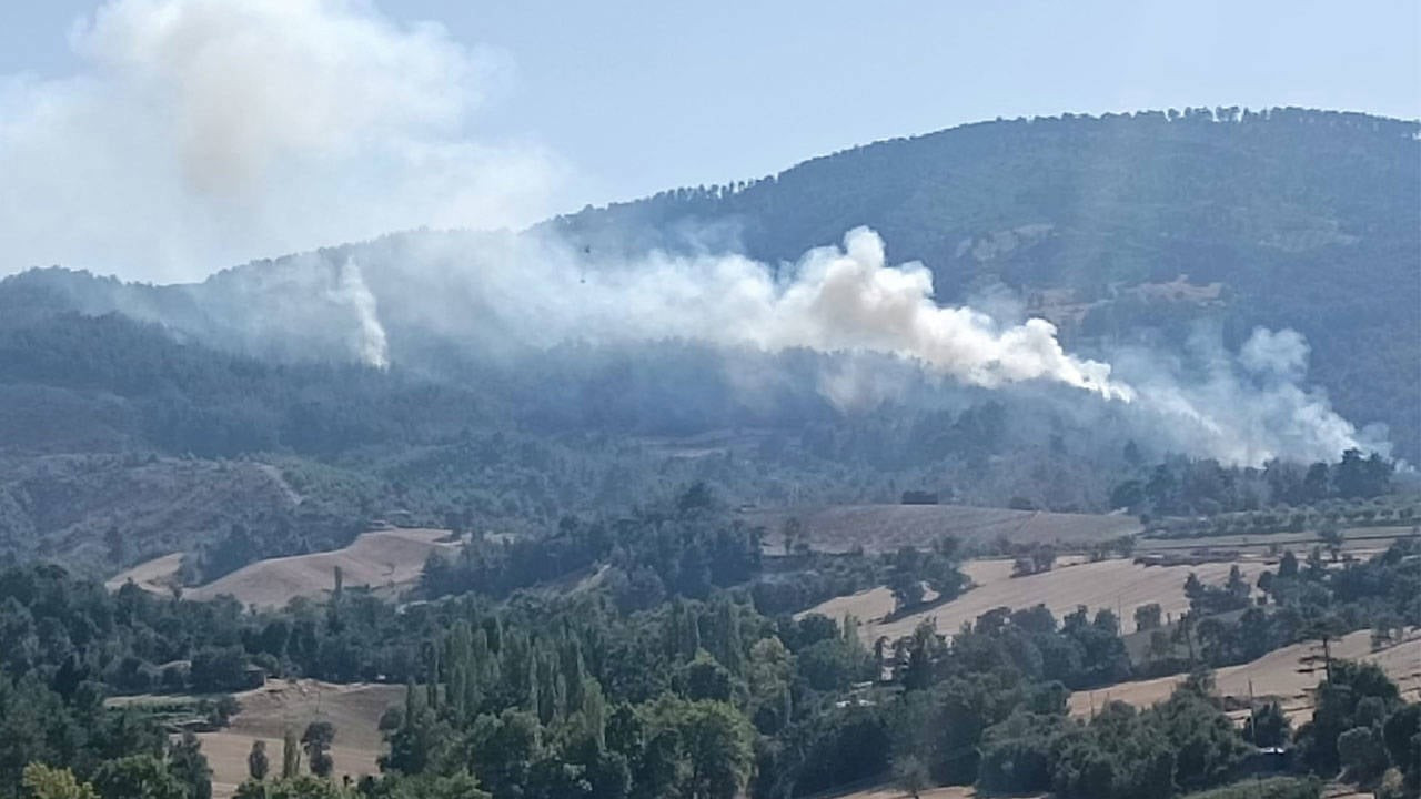 Bakan Yumaklı açıkladı: İki şehirdeki orman yangınları kontrol altında