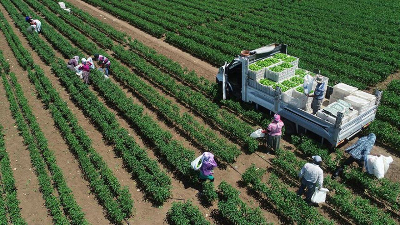 Tarımsal girdi fiyatları temmuzda yüzde 3,68 arttı