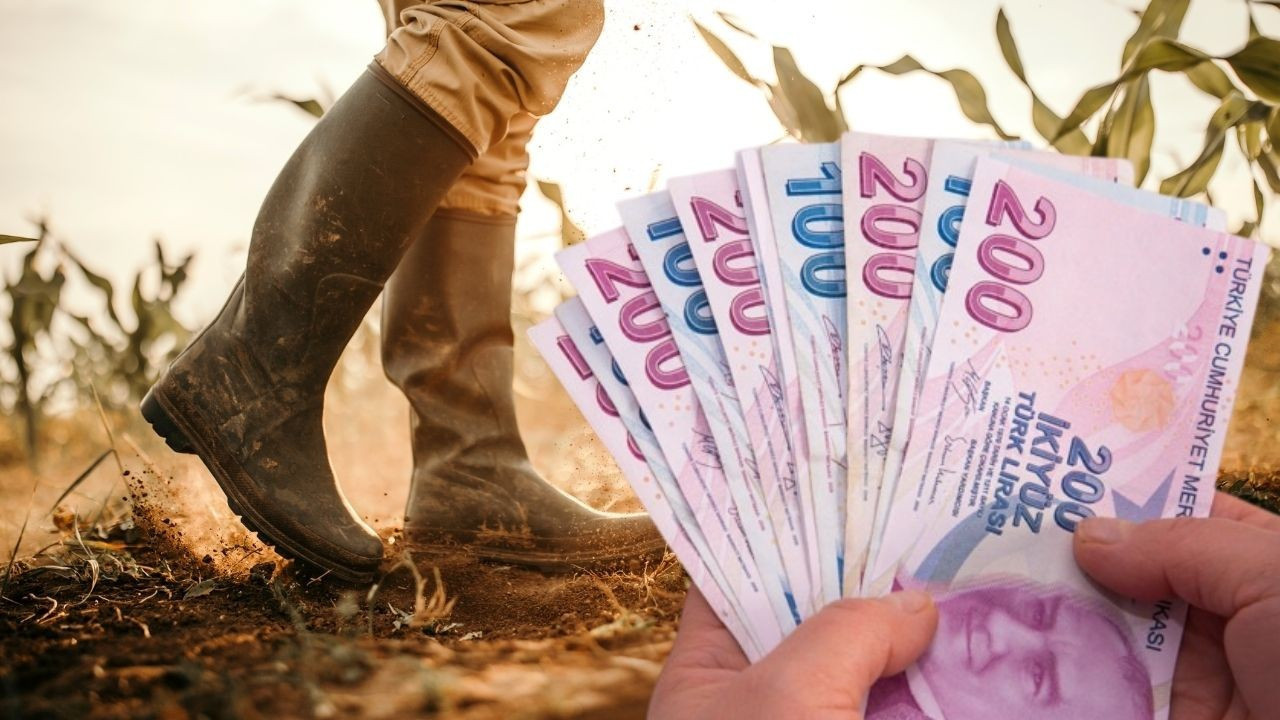 Çiftçilere destek ödemesi hesaplara yatırılacak