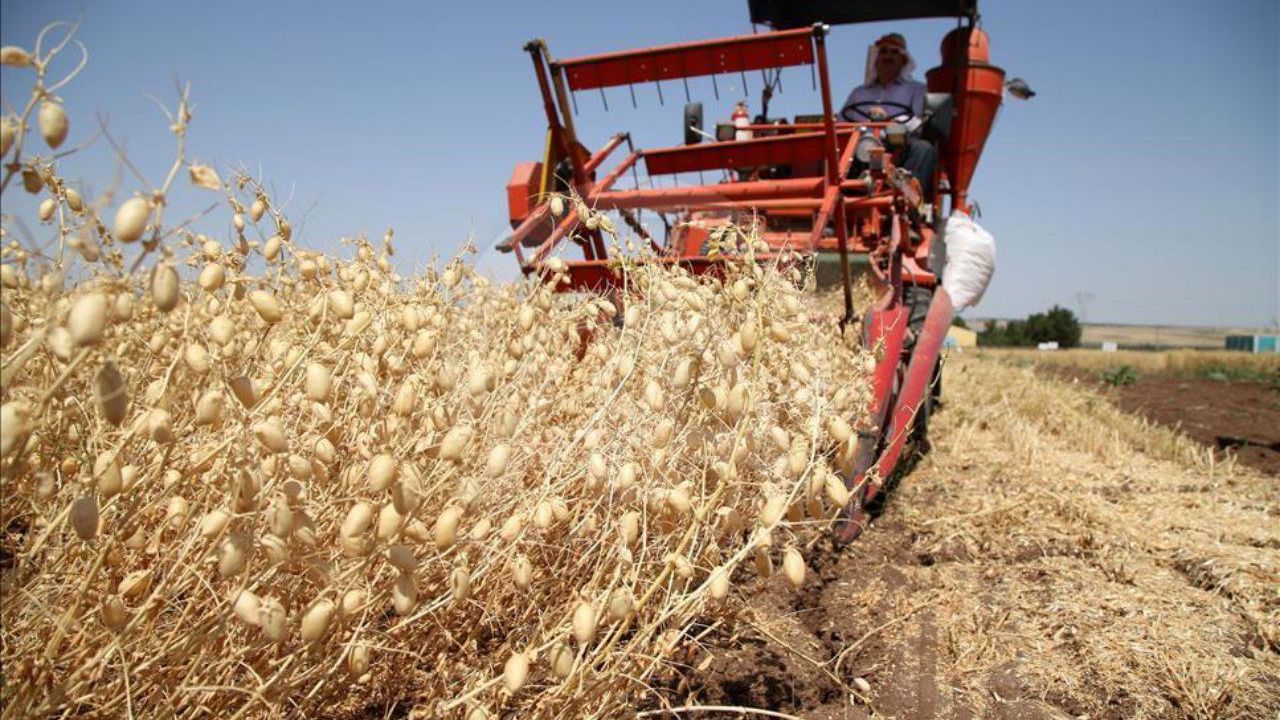 Tarımsal girdi fiyatları ağustosta yüzde 1,3 arttı Tarımsal girdi fiyatları ağustosta yüzde 1,3 arttı