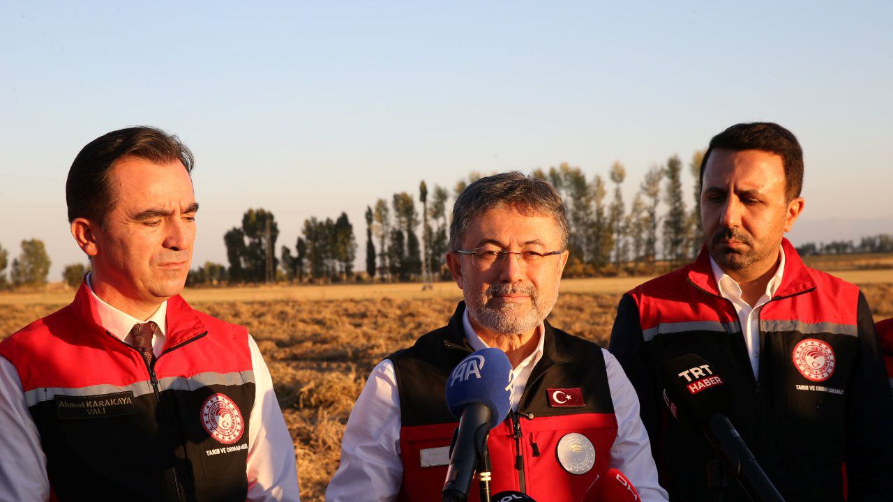 TMO regülasyon görevini yerine getirecek