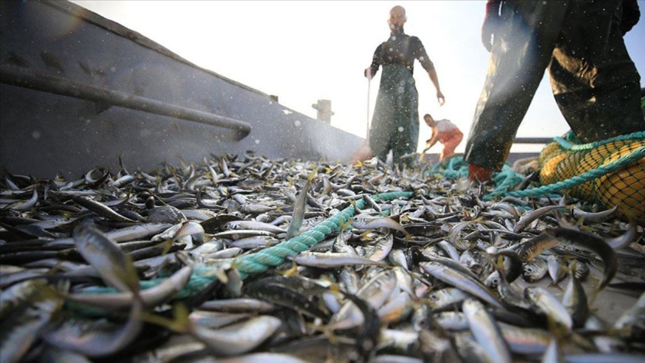 Müsilaj kararı: Balıkçılara ek ödeme yapılacak