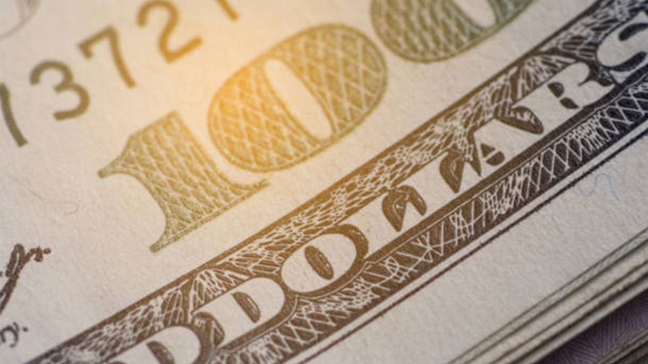 ECB Başekonomistinden Avrupa bankaları için ‘dolar’ uyarısı