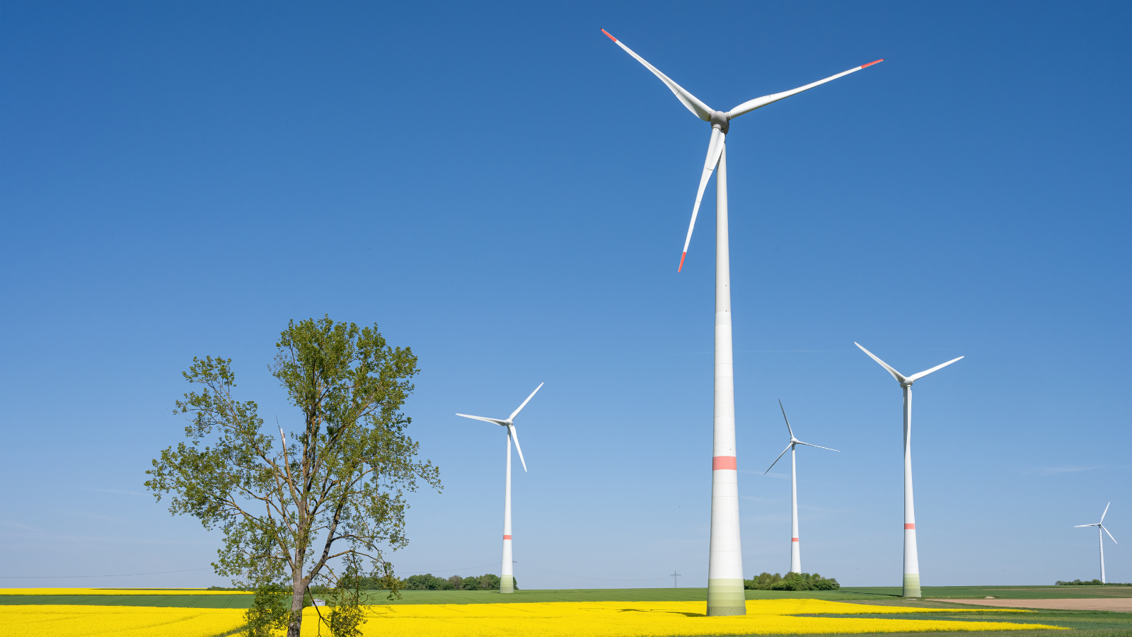 AB’nin yeşil enerji ürünleri ticaretinde rüzgâr türbinleri yükselişte AB’nin yeşil enerji ürünleri ticaretinde rüzgâr türbinleri yükselişte