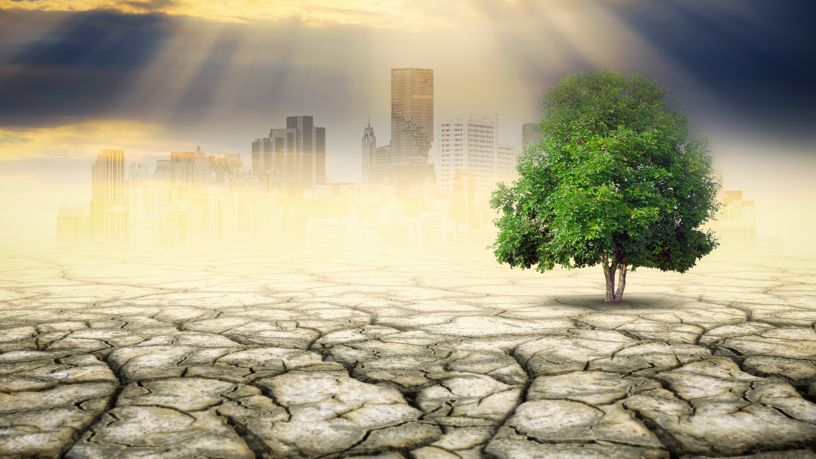 Küresel iklim hasarı 1,4 trilyon dolara ulaştı, ülkeler uyum konusunda hazırlıksız