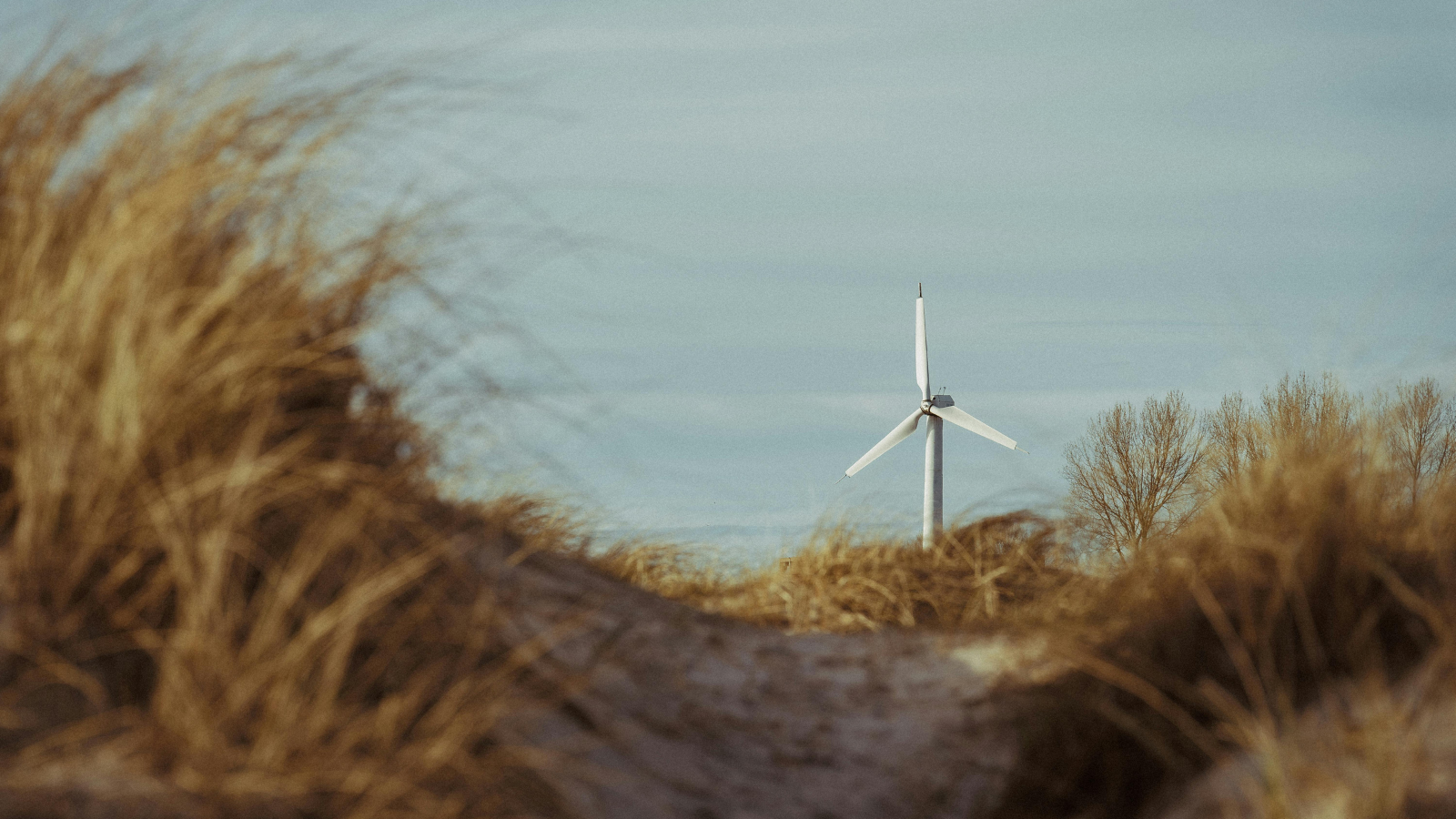 Hafif yapılı türbinle düşük rüzgârda yüksek verim