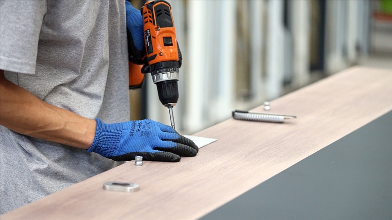 Türk soyluların çalıştırılması yönetmeliği değişti, çalışma zorlaştırıldı