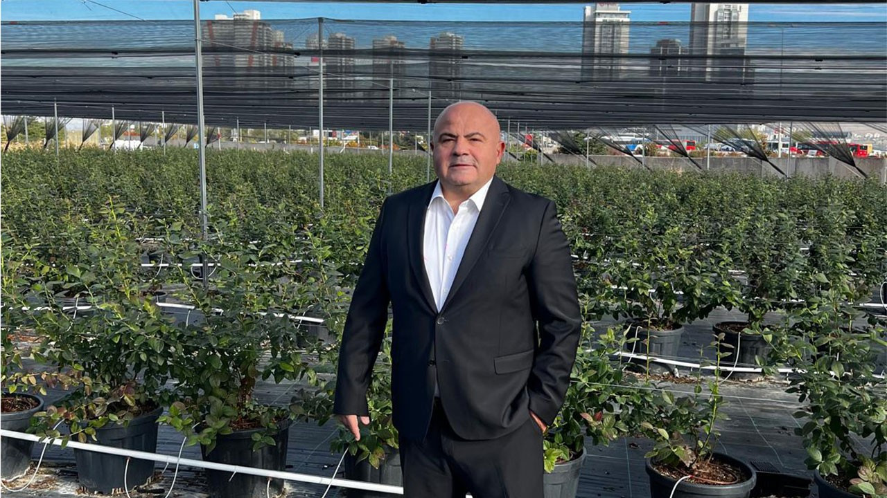 Mamak çöplüğü “blueberry” üretim yeri oldu Mamak çöplüğü “blueberry” üretim yeri oldu