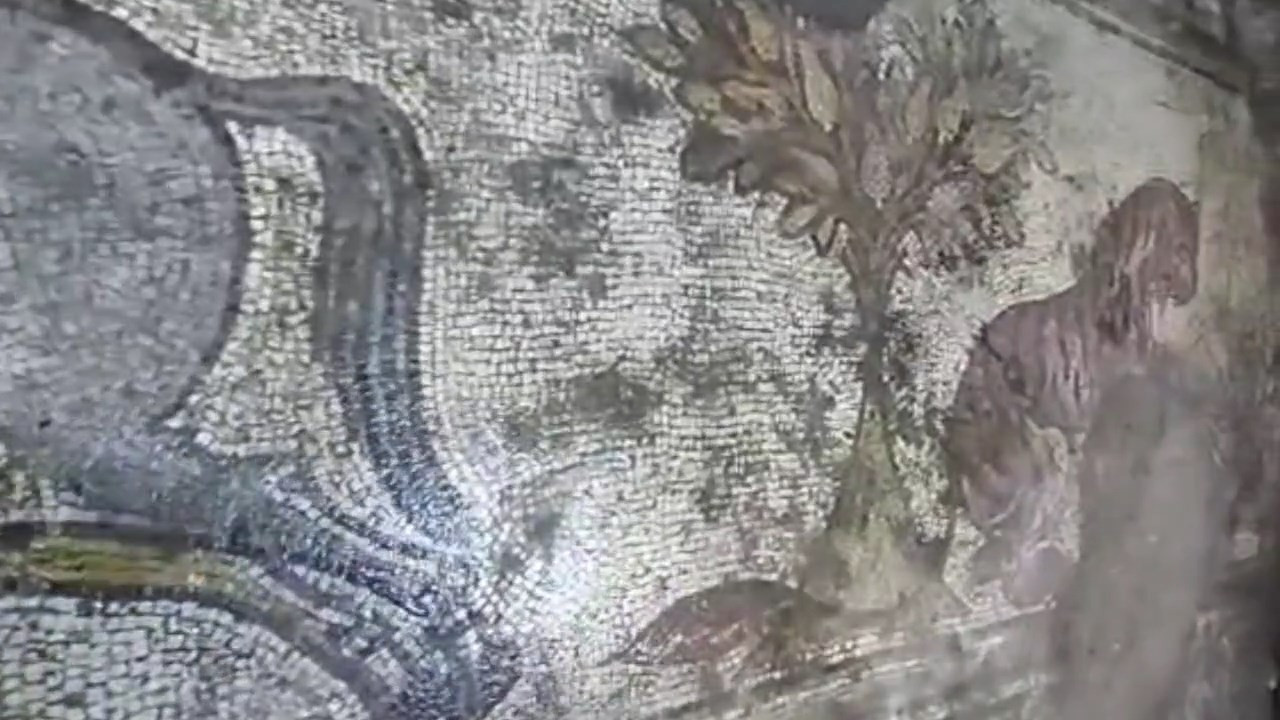 Mardin'de kaçakçılara satılmak istenen 1500 yıllık mozaik ele geçirildi