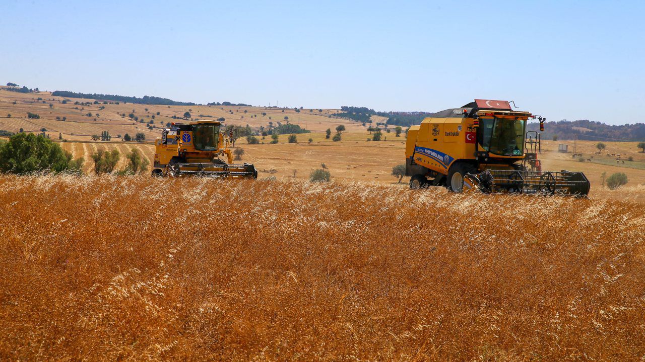 FAO ve Türkiye’den yeni proje