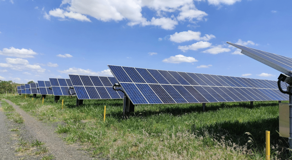 Yenilenebilir Enerji Büyümesi Fosil Yakıtları Kaçınılmaz
