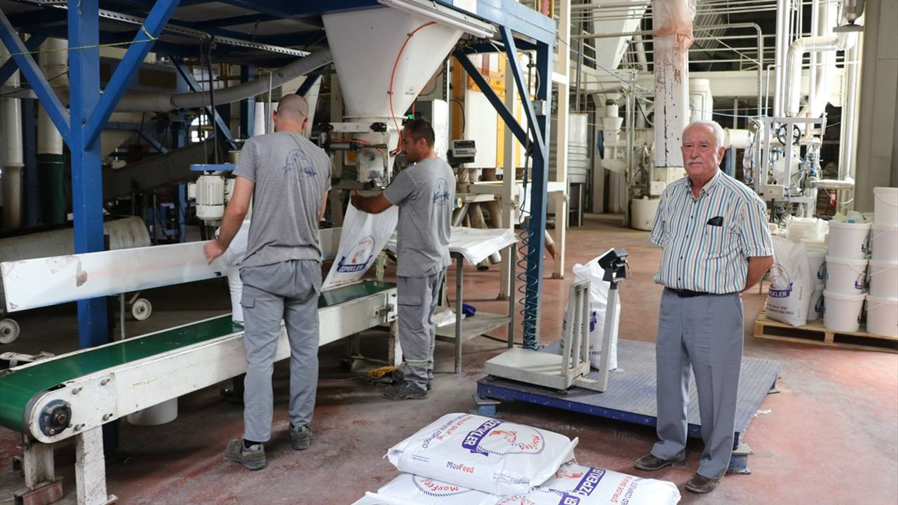 Yemi beğenmeyip fabrika kurdu; şimdi 6 ülkeye ihracat yapıyor