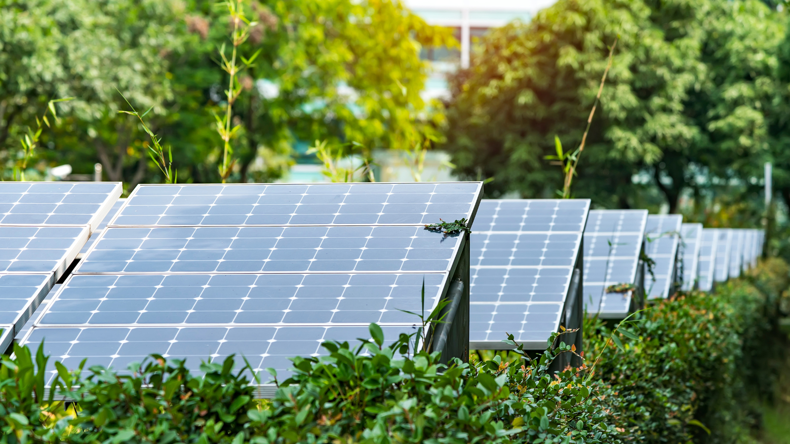 Detroit’te 165 Dönümlük Temiz Enerji Üssü Kuruluyor