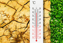 İklim Endeksi: Türkiye’nin Performansı Düşük Kalıyor