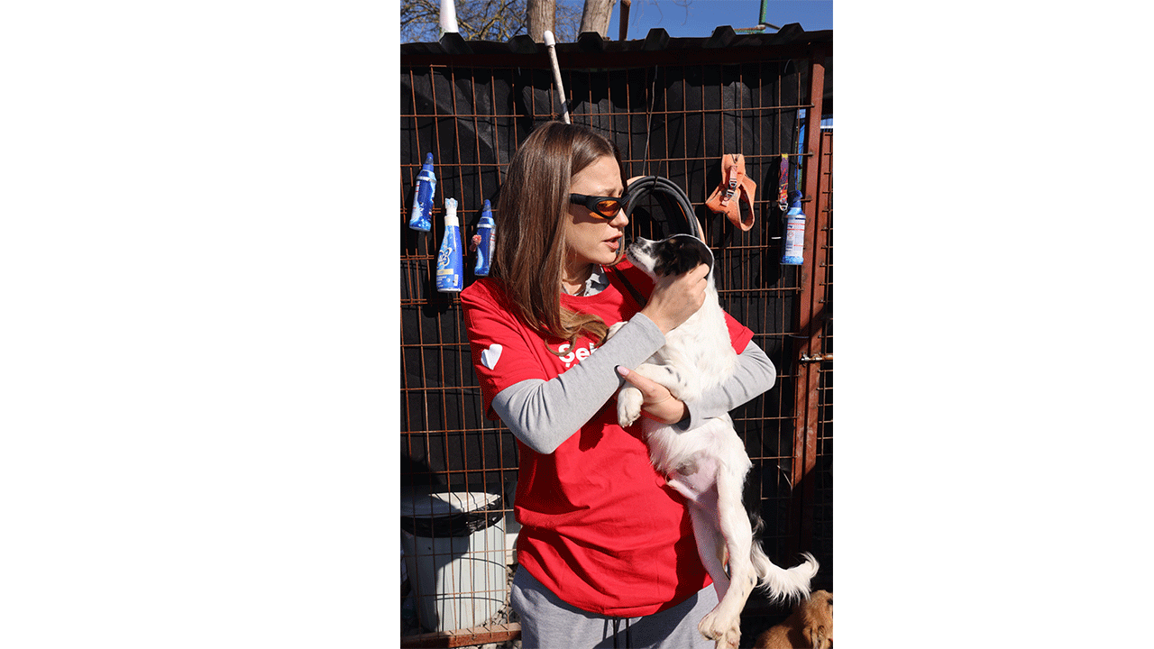 Serenay Sarıkaya, Akbank şehrin iyi hali gönüllüleriyle yardıma muhtaç hayvanlar için buluştu